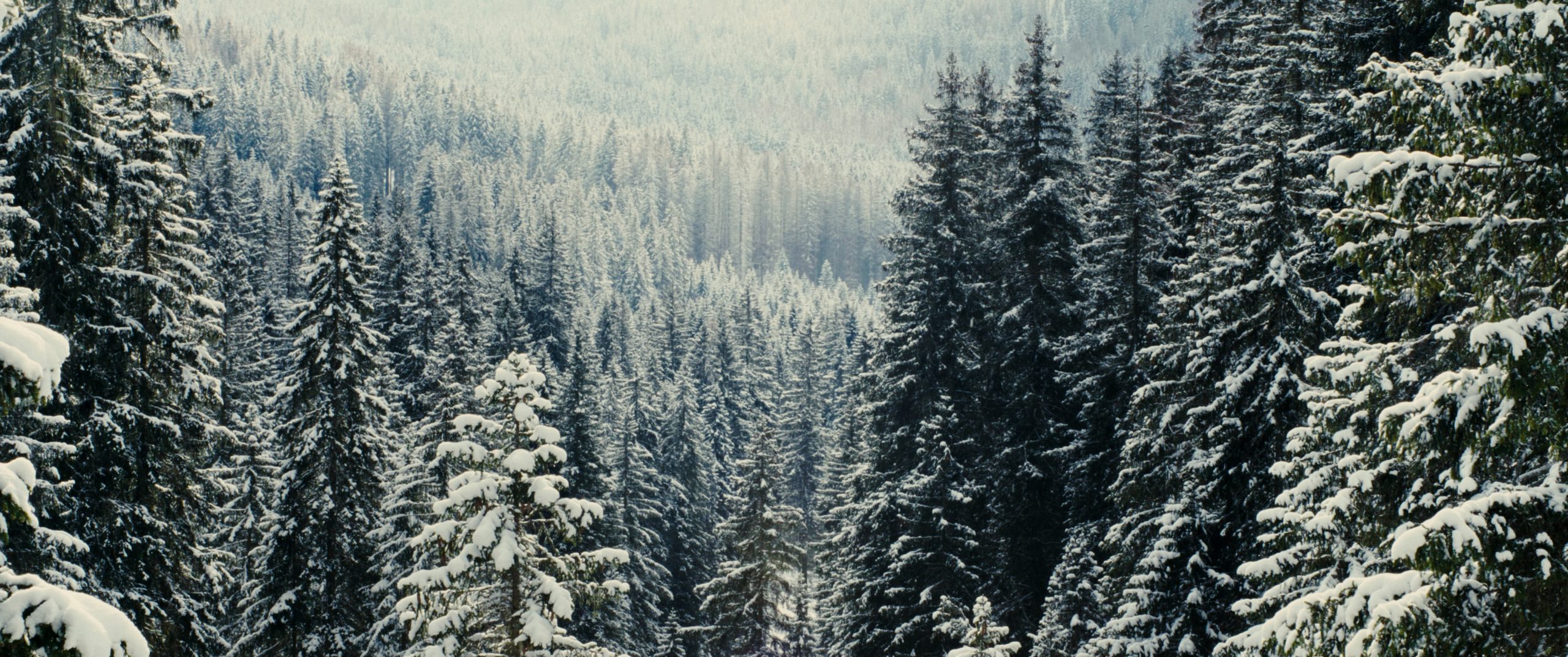 SONGSOFBREATH_Still3_copyright@AmkaFIlms